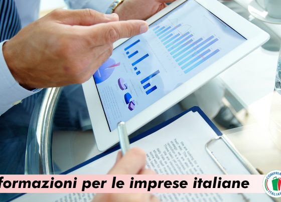 SACESRV e Agenzia ICE insieme per le imprese italiane