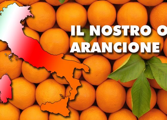 Arance italiane